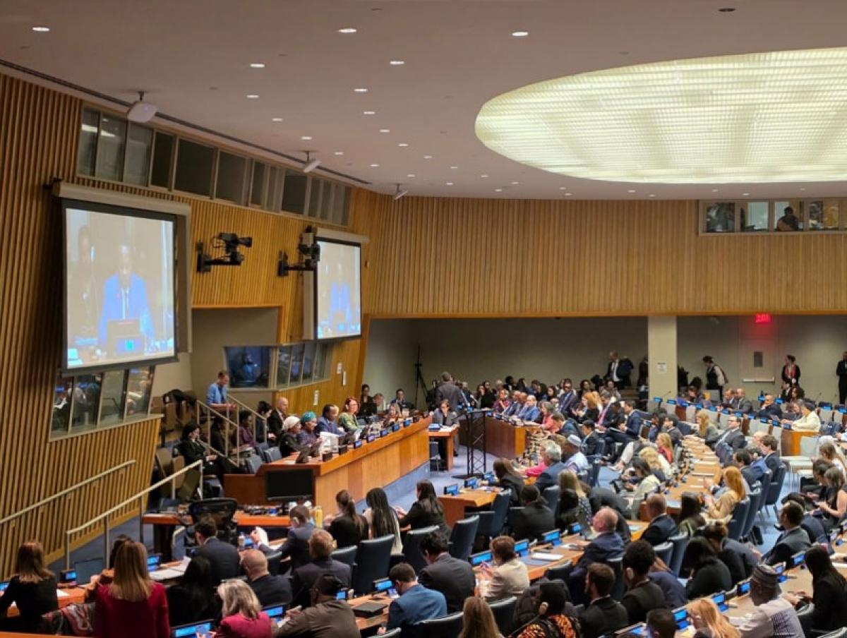 НҮБ-ын Хүн ам, хөгжлийн комиссын 59 дүгээр чу